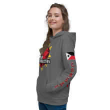 Load image into Gallery viewer, Official Nomad Combatives - Unisex Hoodie